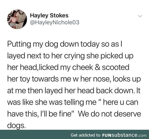Dogs are the purest animals on this earth.