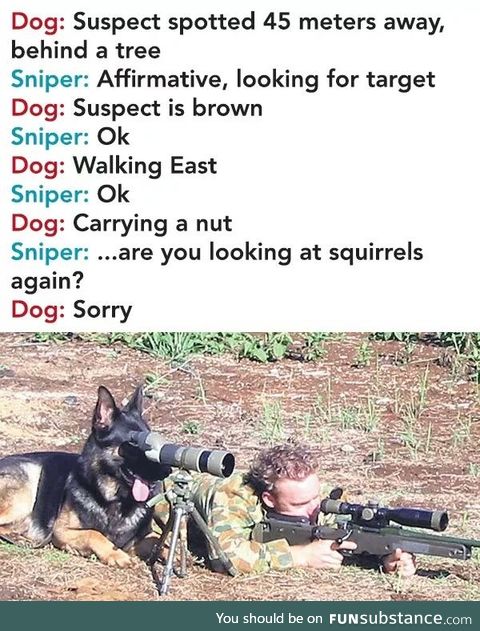 He is a good Spotter...LOL