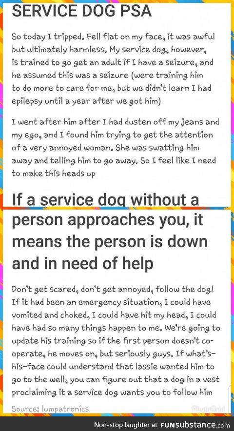 PSA: How to deal with a service dog