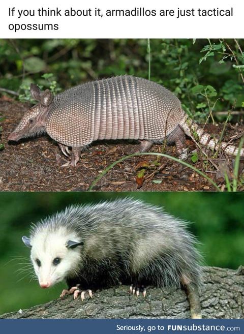 Tactical opossums