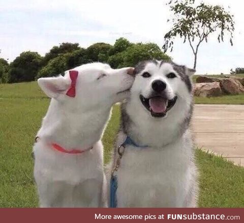 when you find the love of your life
