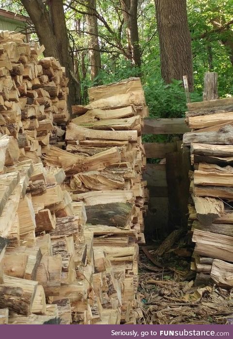 Find the cat