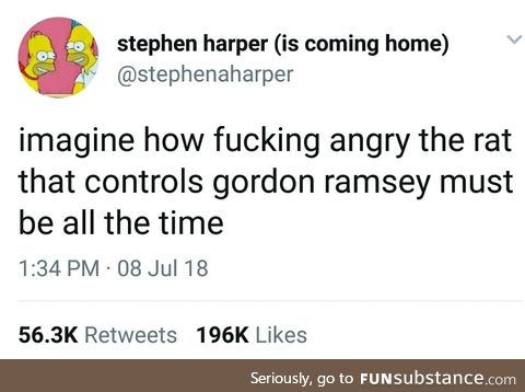 That's one angry rat