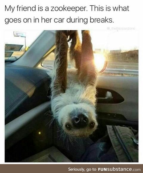 Seems fun