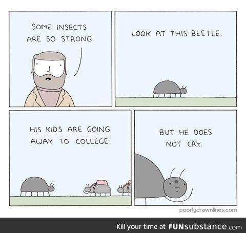 It's a stronk dad