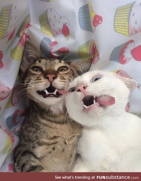 selfie time