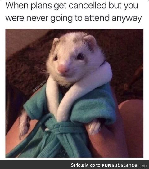 Guess I'll chill ¯\_(ツ)_/¯