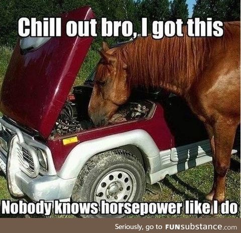 Checking the horsepower
