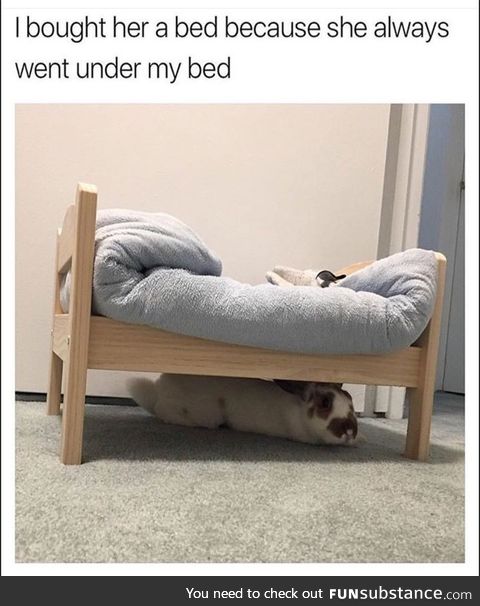 Cute