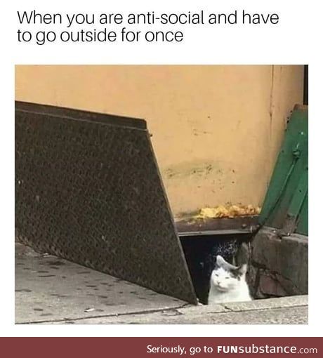 When you're antisocial and have to go outside
