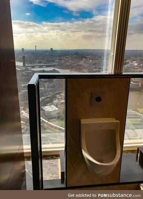 Awesome view from a men's urinal
