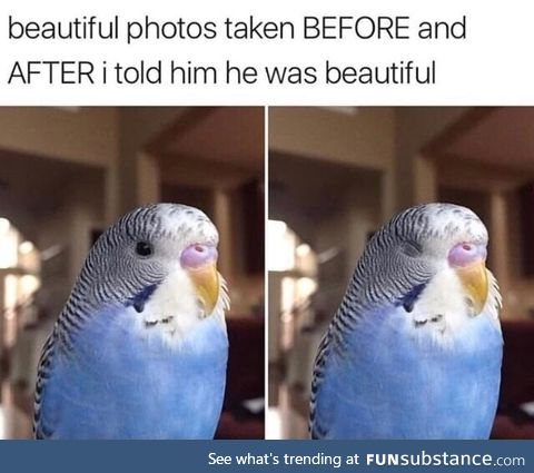 Mmmm beauty
