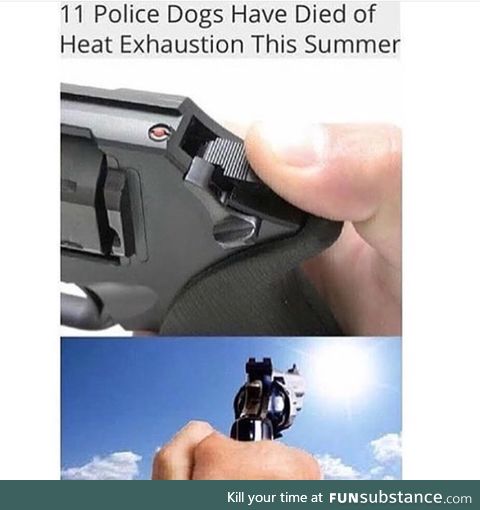 Poor dogs