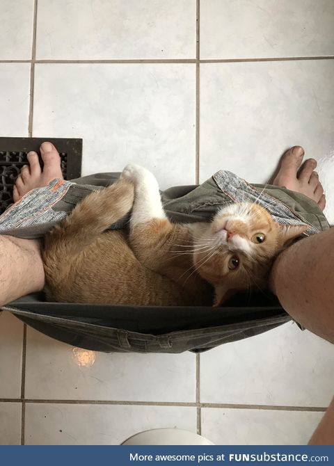 "oh, don't worry.. i just chill here!"
