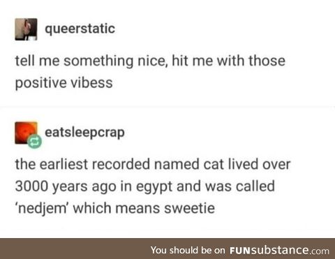 Nice