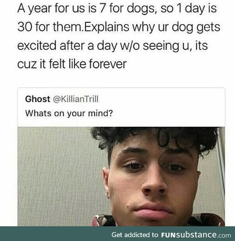 That's why dogs feel like it's forever