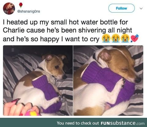 Just look how warm he is