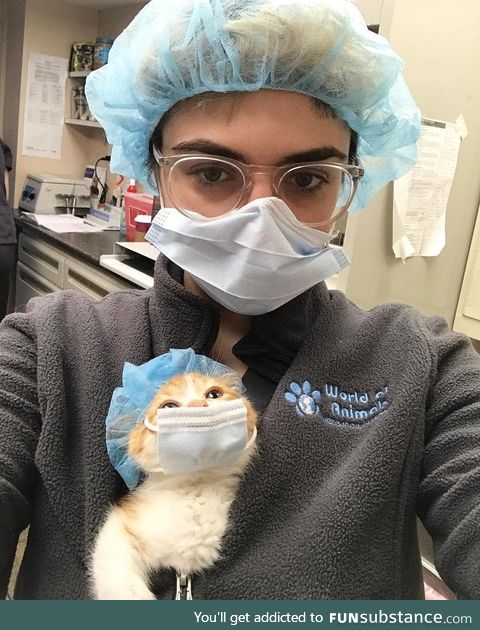 first day at her new job.. *purrfect!*
