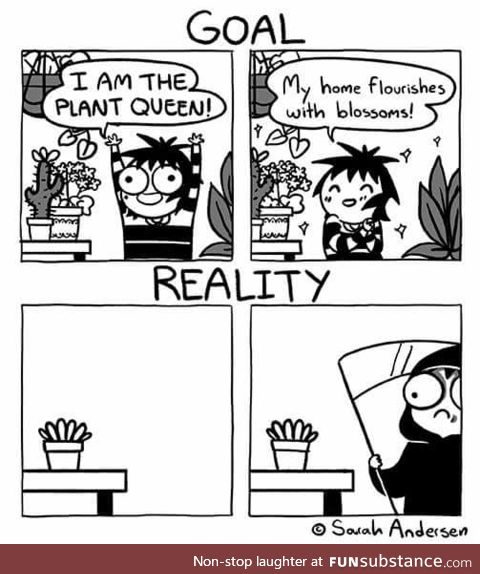 Plants