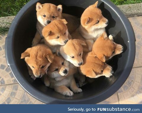 bucket of love <3