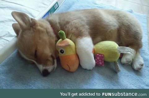 awwww