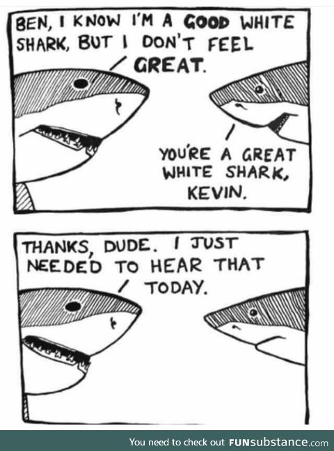 You're a Great White Shark