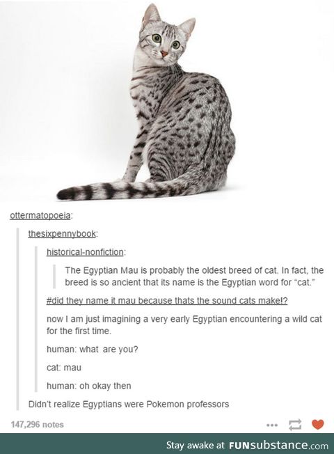 Mau