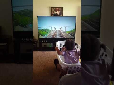 Free Homemade Roller Coaster