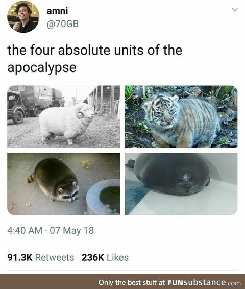 Choose your fighter