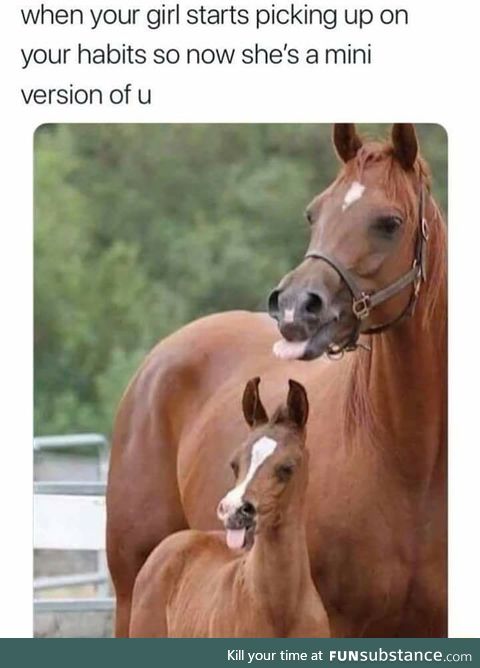 Mini me