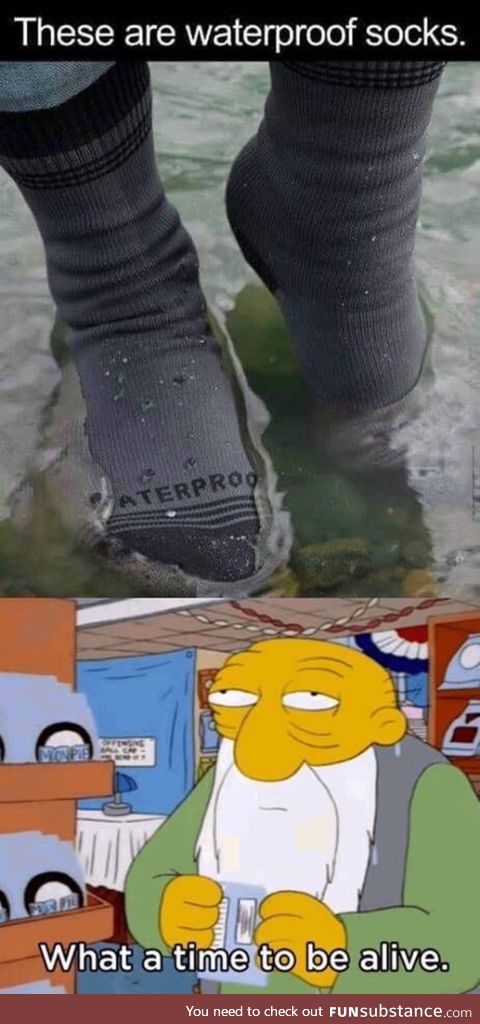 Waterproof socks