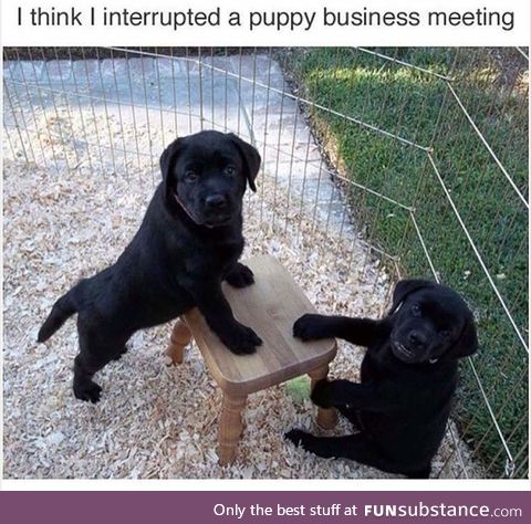 You're hired