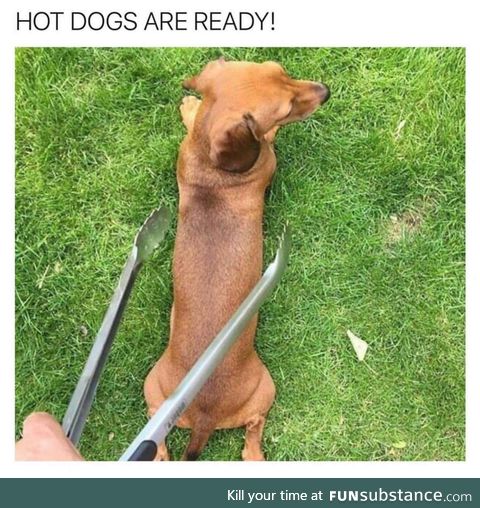 Under cooked hotdog