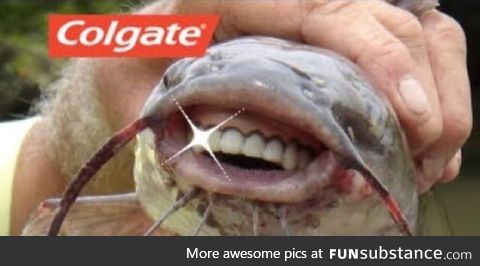 Colgate