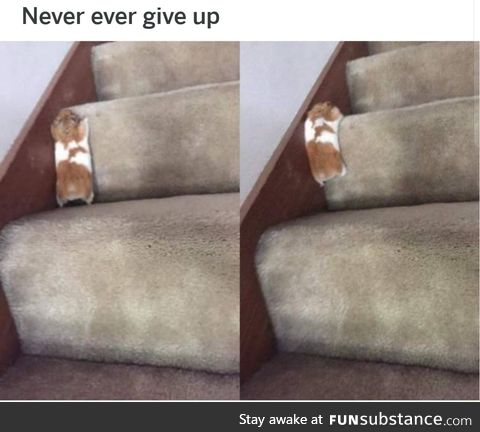 Never give up