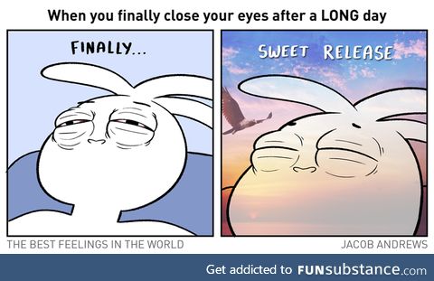 Sweet dreams