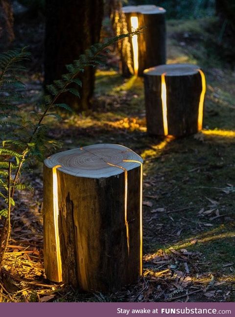 Pretty awesome idea for outdoor lights