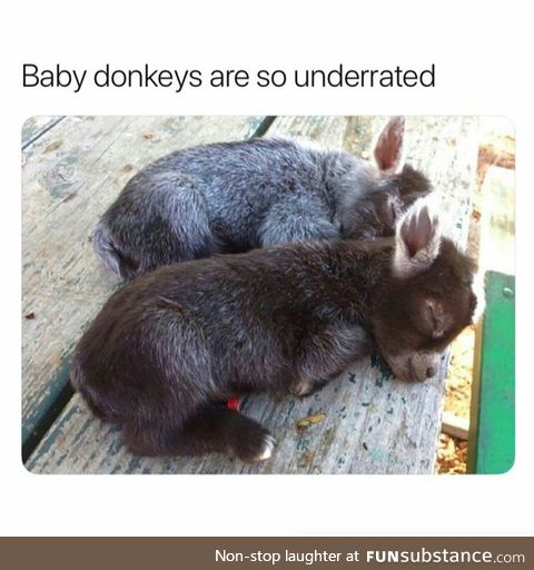 Adorable