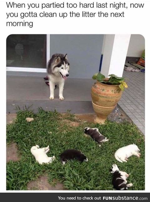 I'll have all of them