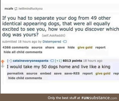 Dogs