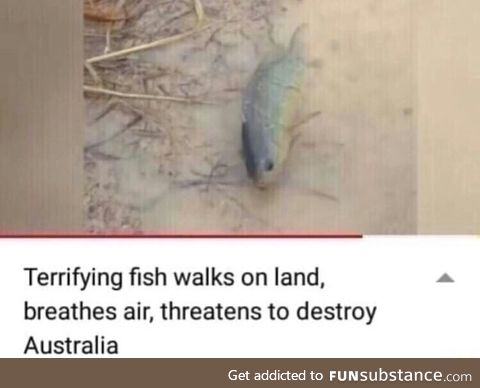 Only in Austrailia