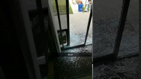Dog runs through glass door like it's nothing