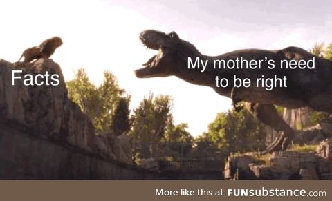 Facts vs mom