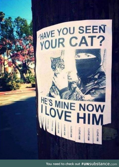 Lost cat. Found cat