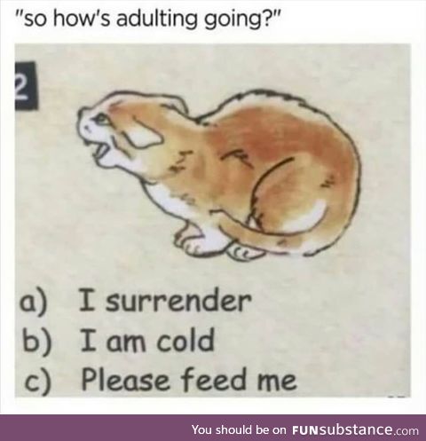 Adulting