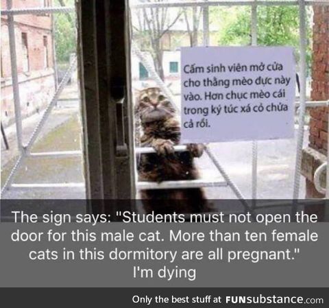 This is so funny.