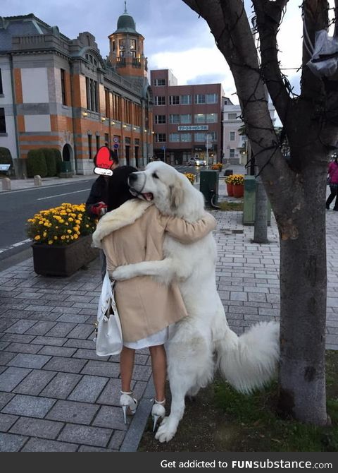 This dog hugged everyone who walked by outside in Japan