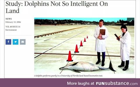 Poor dolphin
