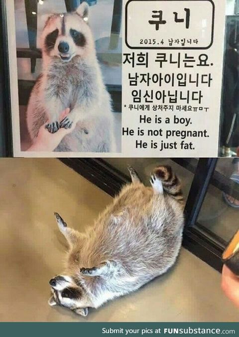 It's a boy