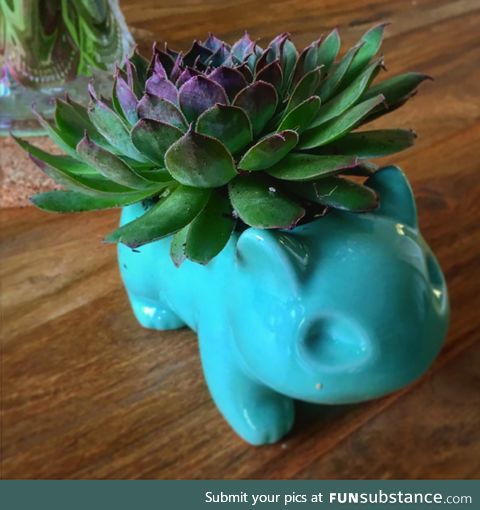 The Bulbasaur succulent planter